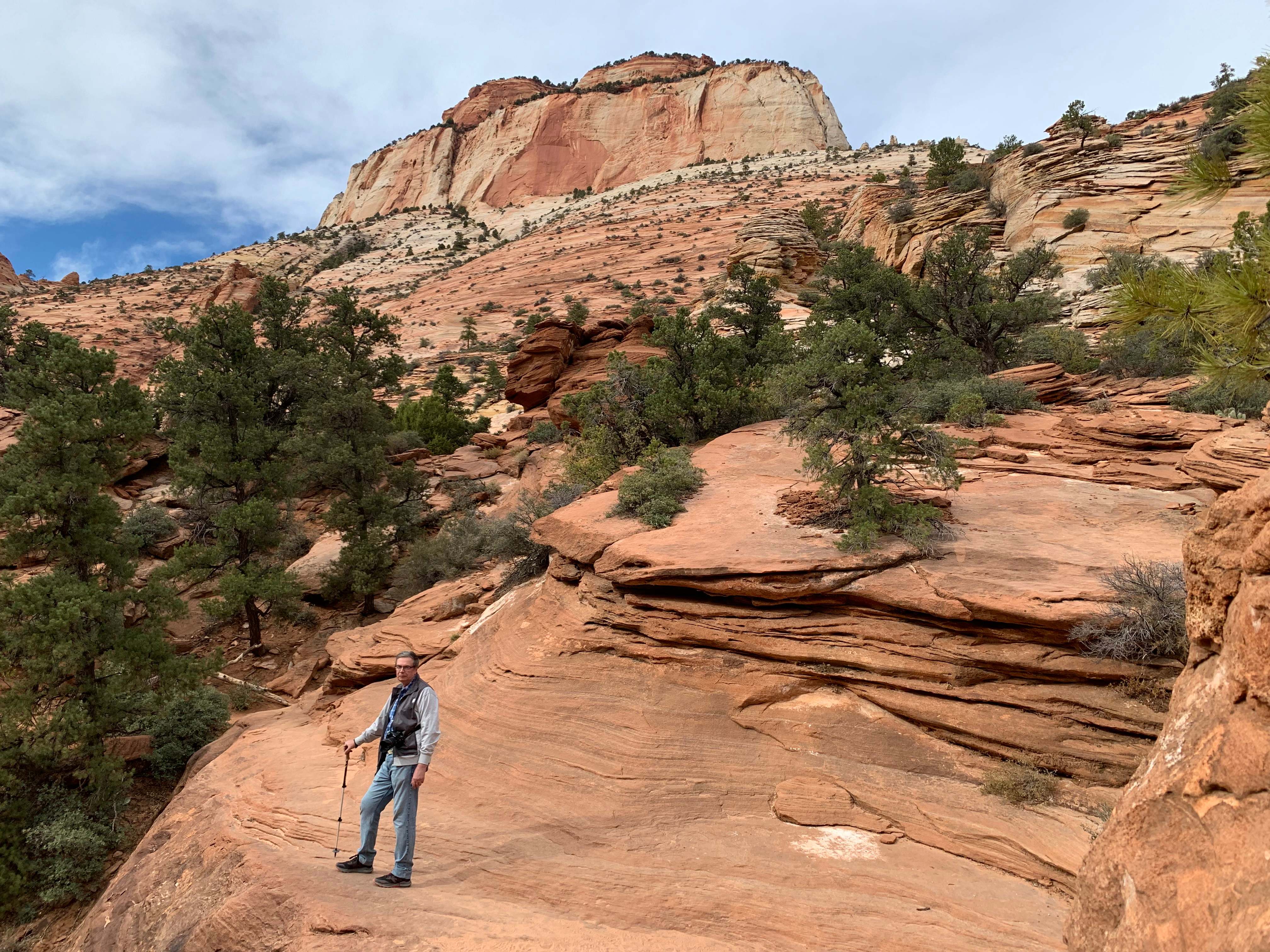 Zion NP